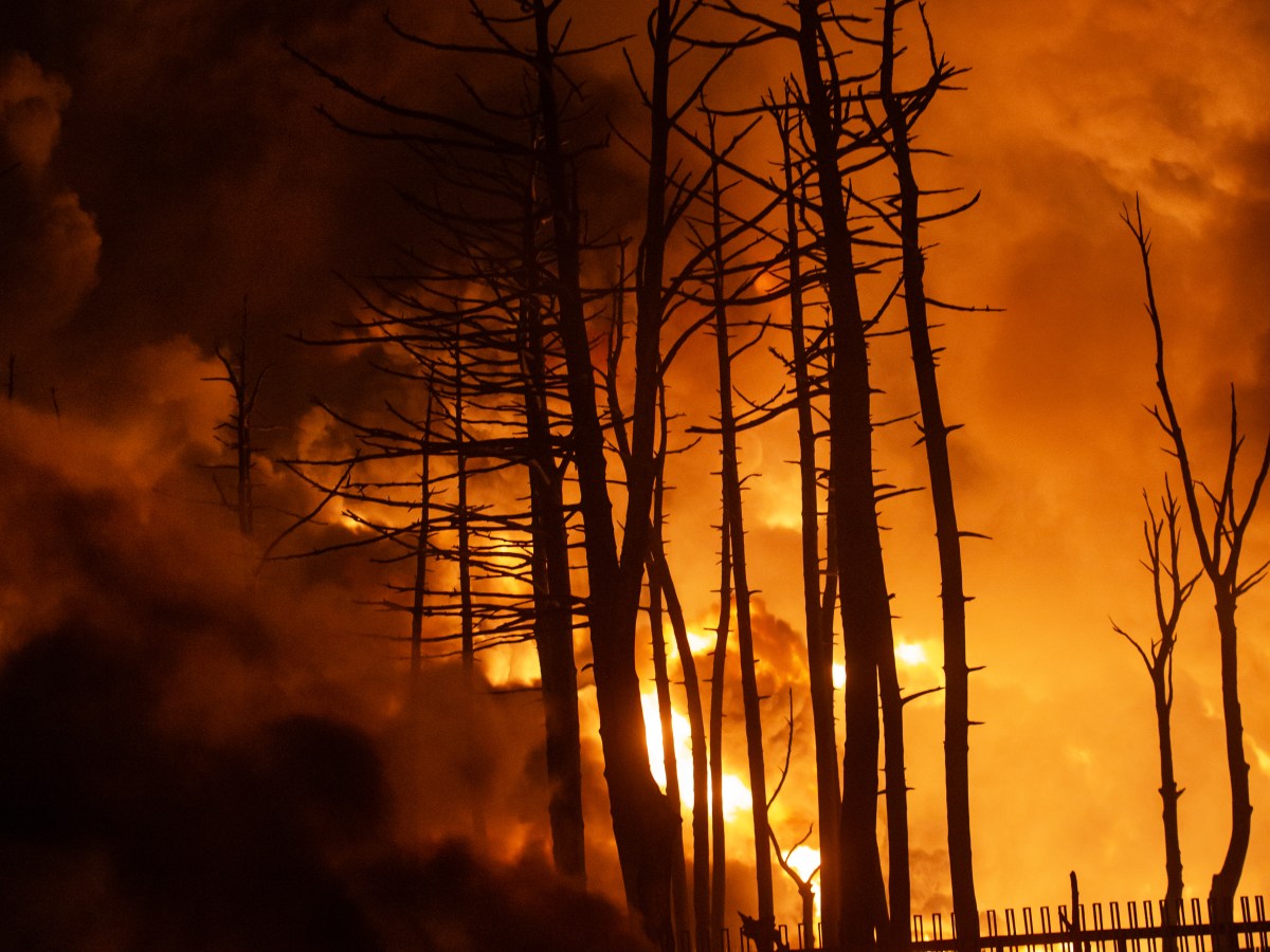 The Historic Self-Own of Trump’s Iran Misadventure