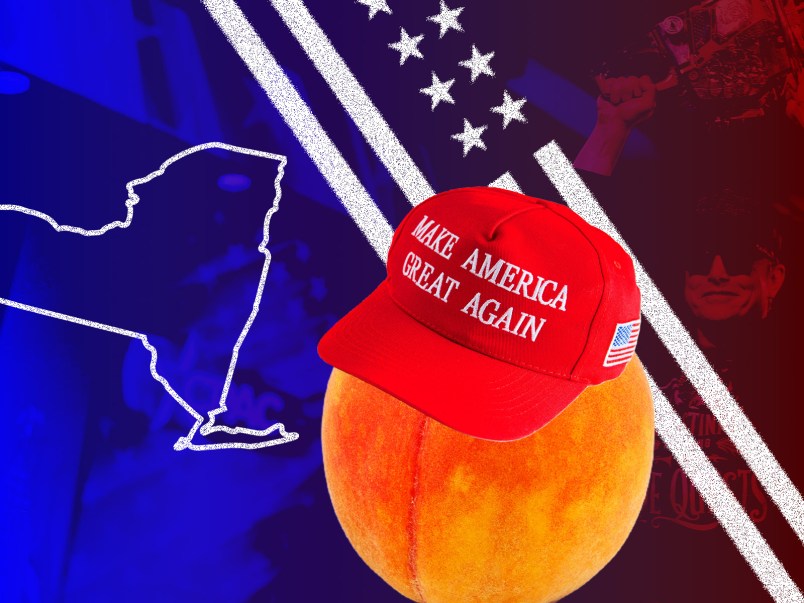 franchise-GA-NY-doge.jpg?w=804