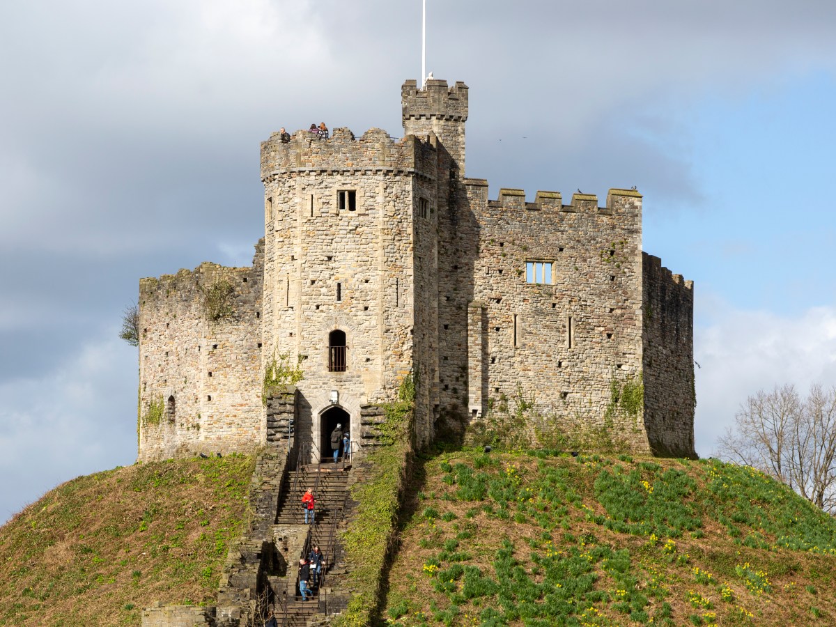 Trump’s Motte-and-Bailey Presidency