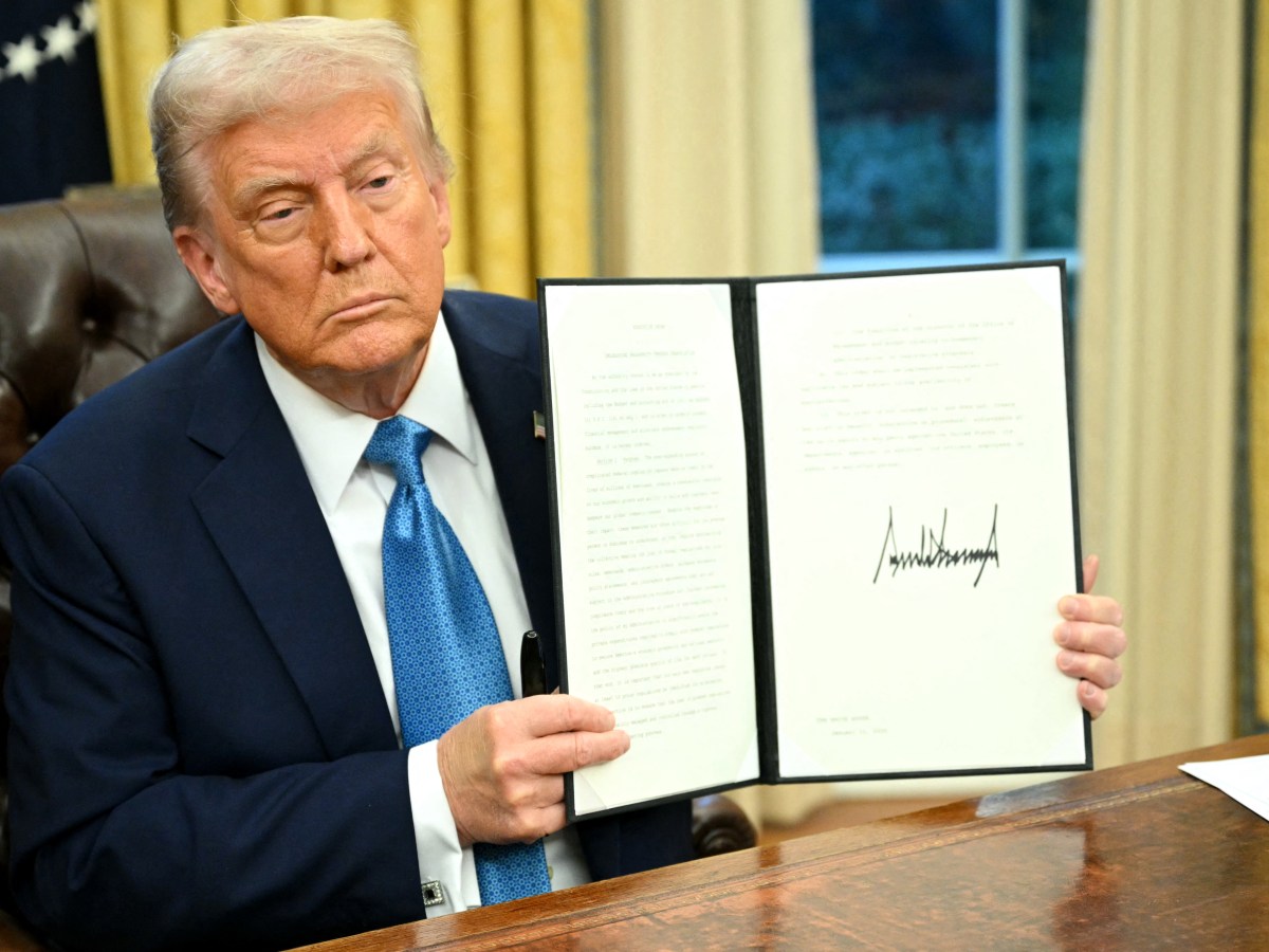 A Few Timely Thoughts on Birthright Citizenship