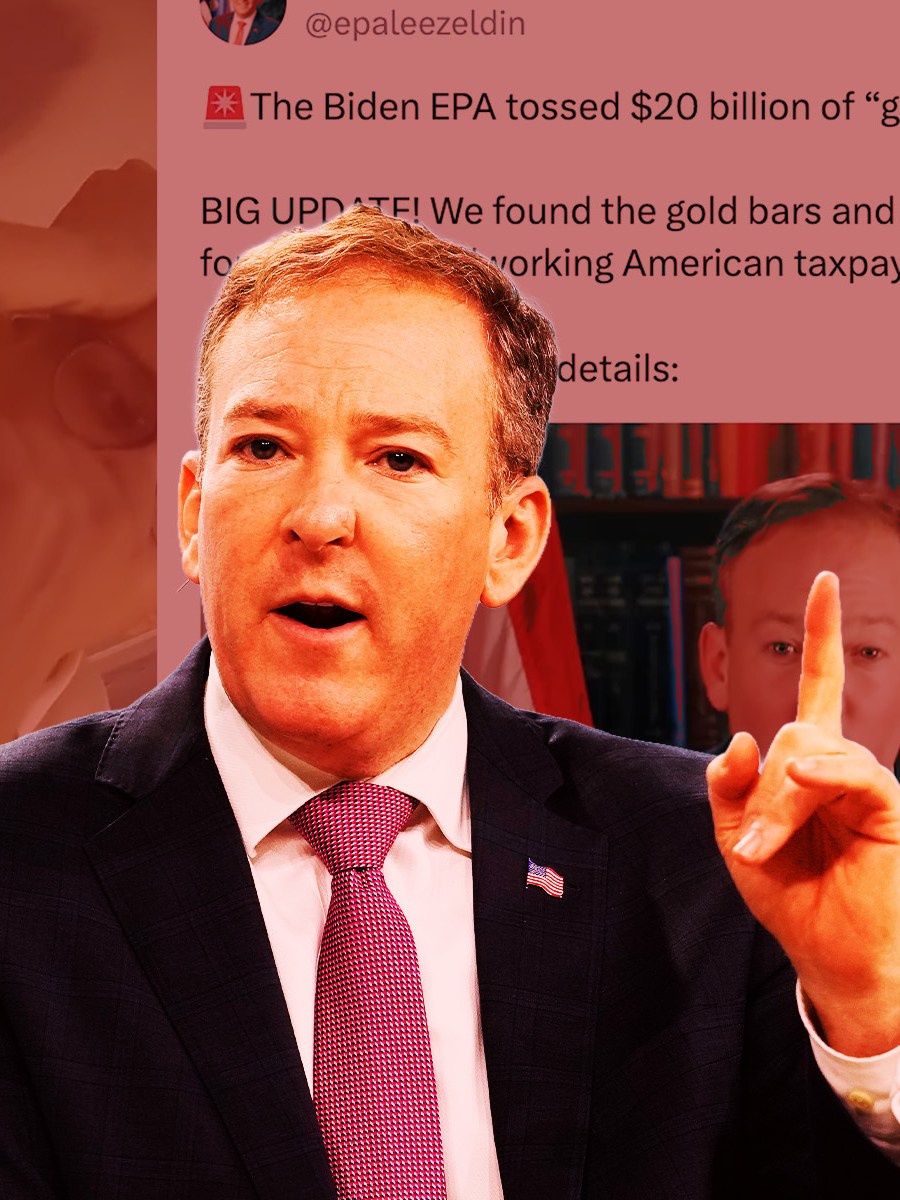 What Trump Might See in Lee Zeldin