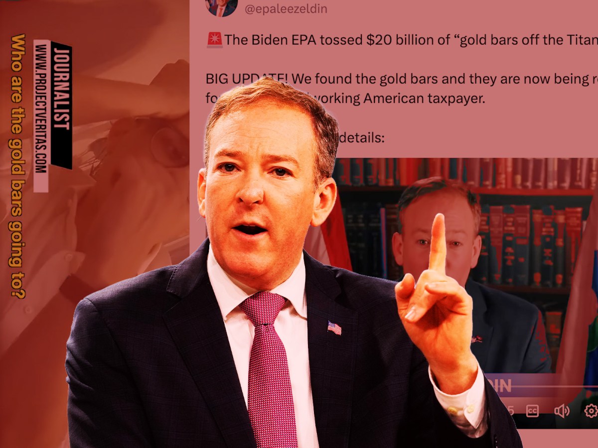 What Trump Might See in Lee Zeldin