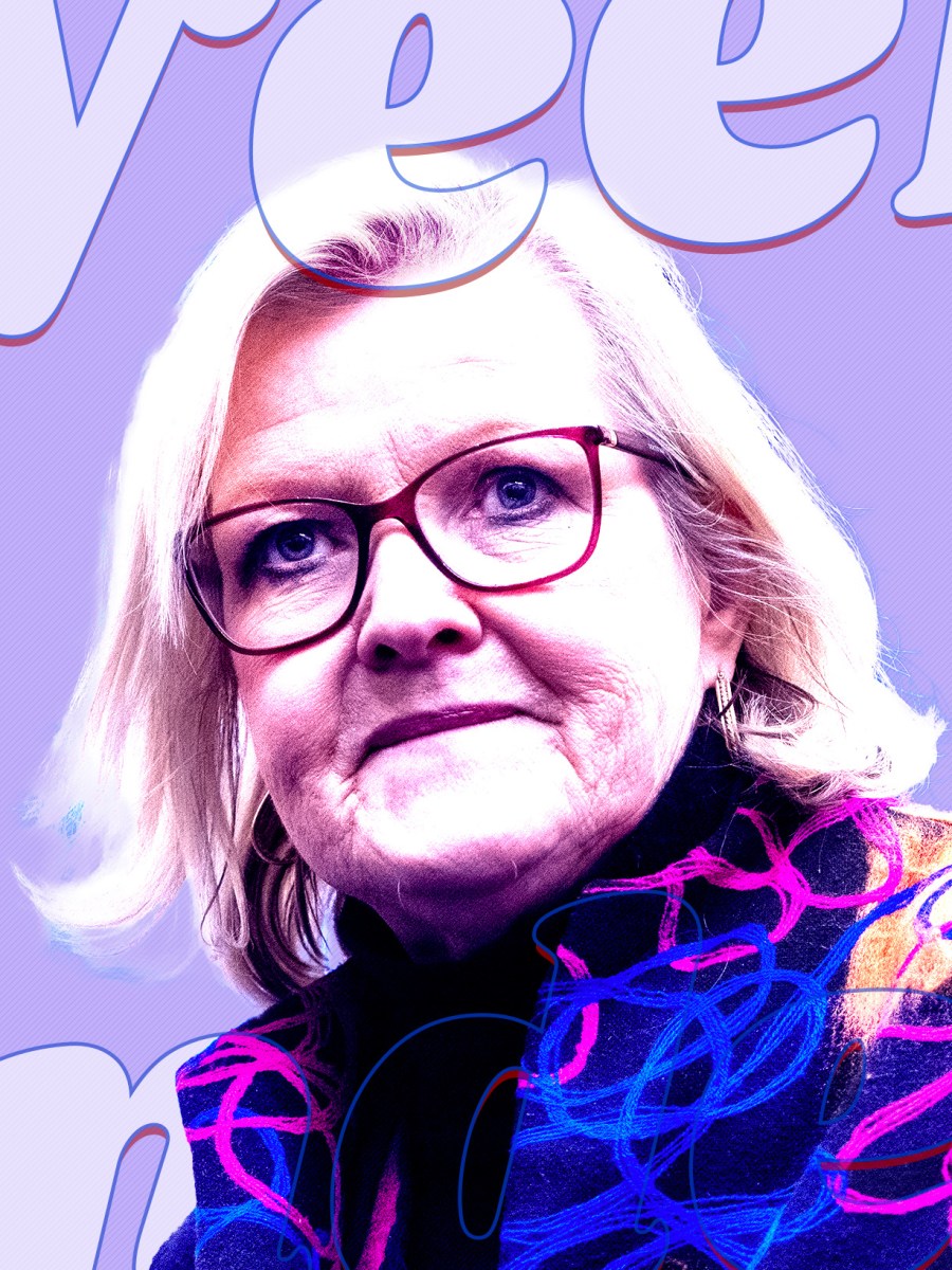 How Cleta Mitchell Continues to Make Herself Relevant in the Election-Meddling Universe
