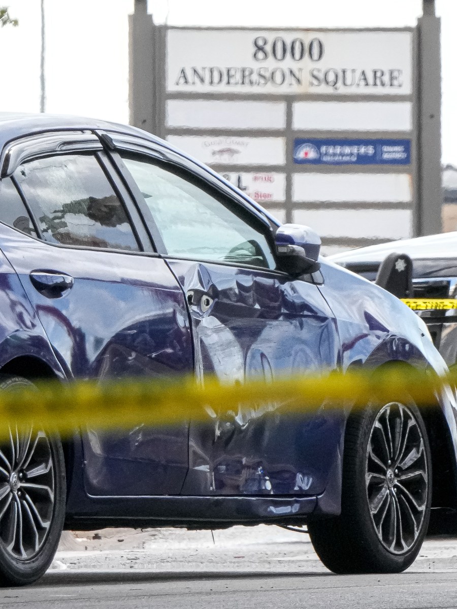 ICE Involved in Two Violent Incidents Over the Weekend