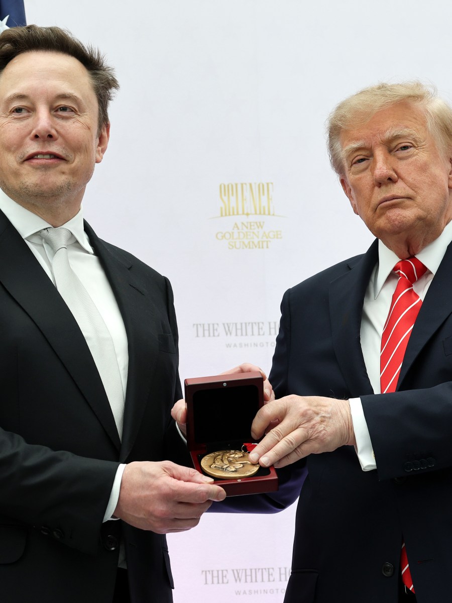 Democrats Have Big Plans for Elon Musk