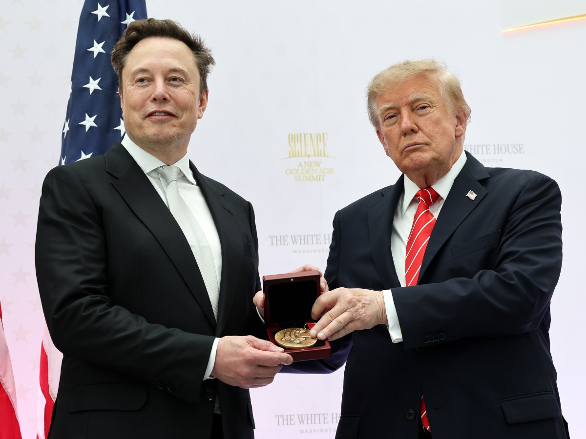 Democrats Have Big Plans for Elon Musk