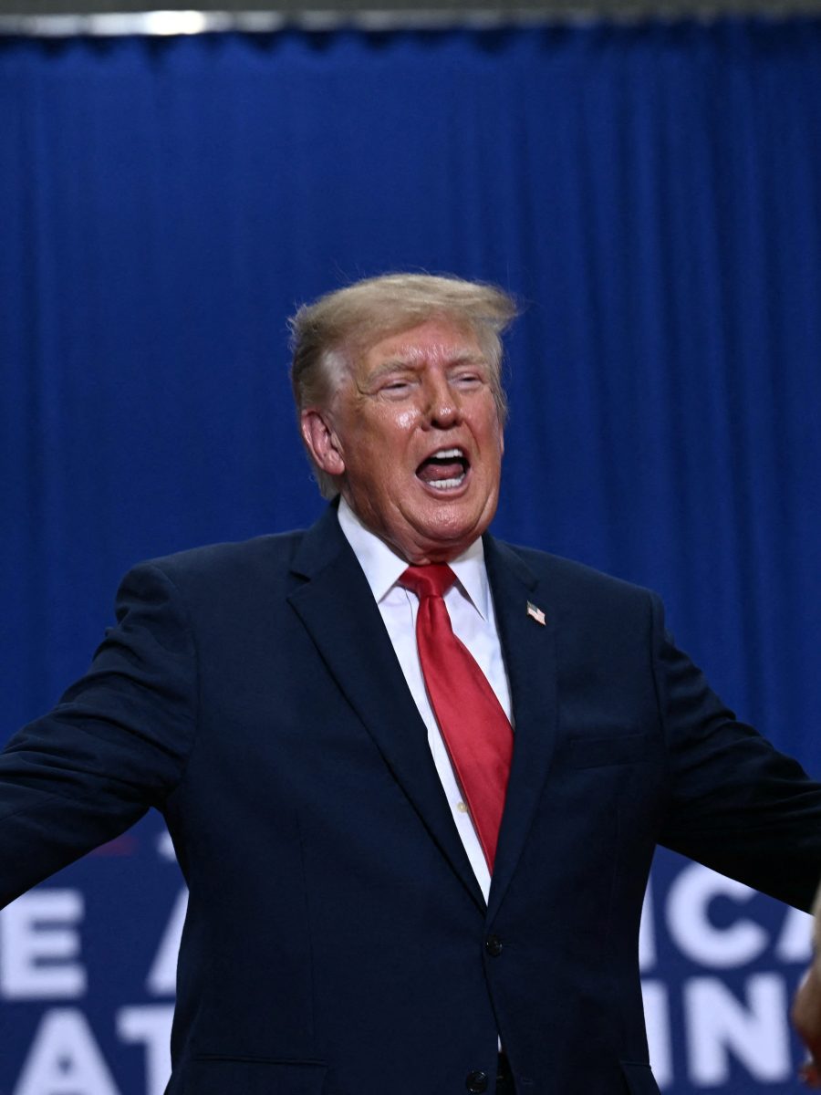 Dangerous and Absurd: The Story of Donald Trump