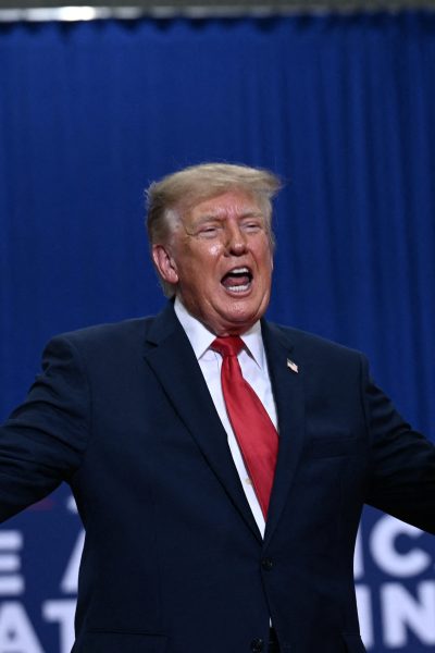 Dangerous and Absurd: The Story of Donald Trump